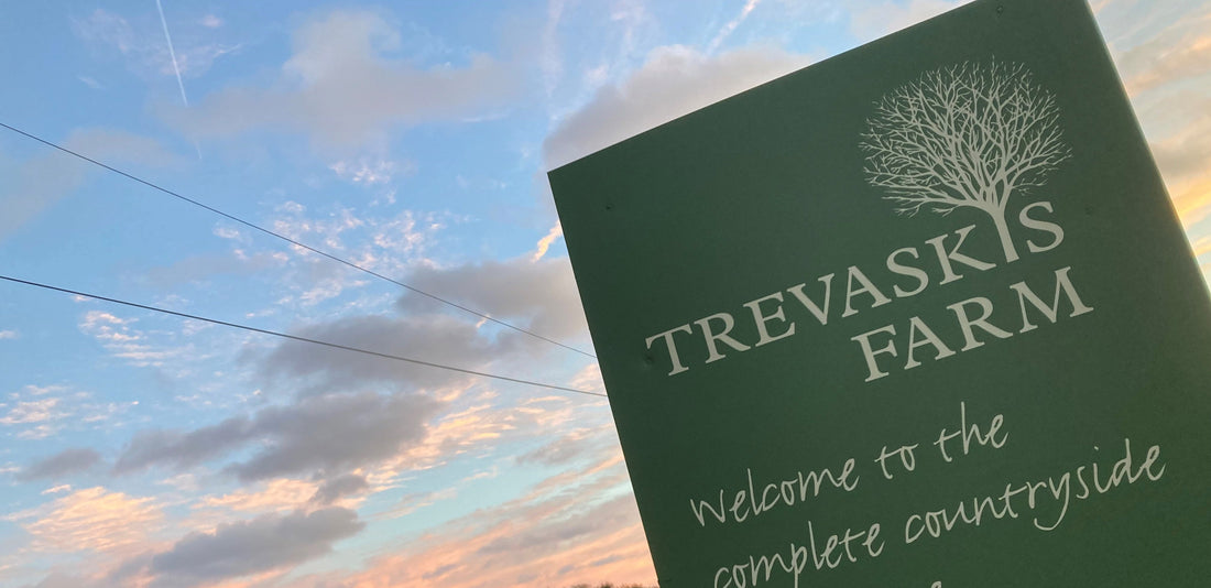 Stockist Spotlight: Trevaskis Farm